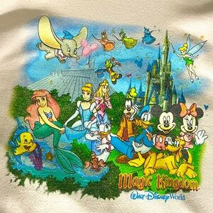 Disneyworld sweatshirt